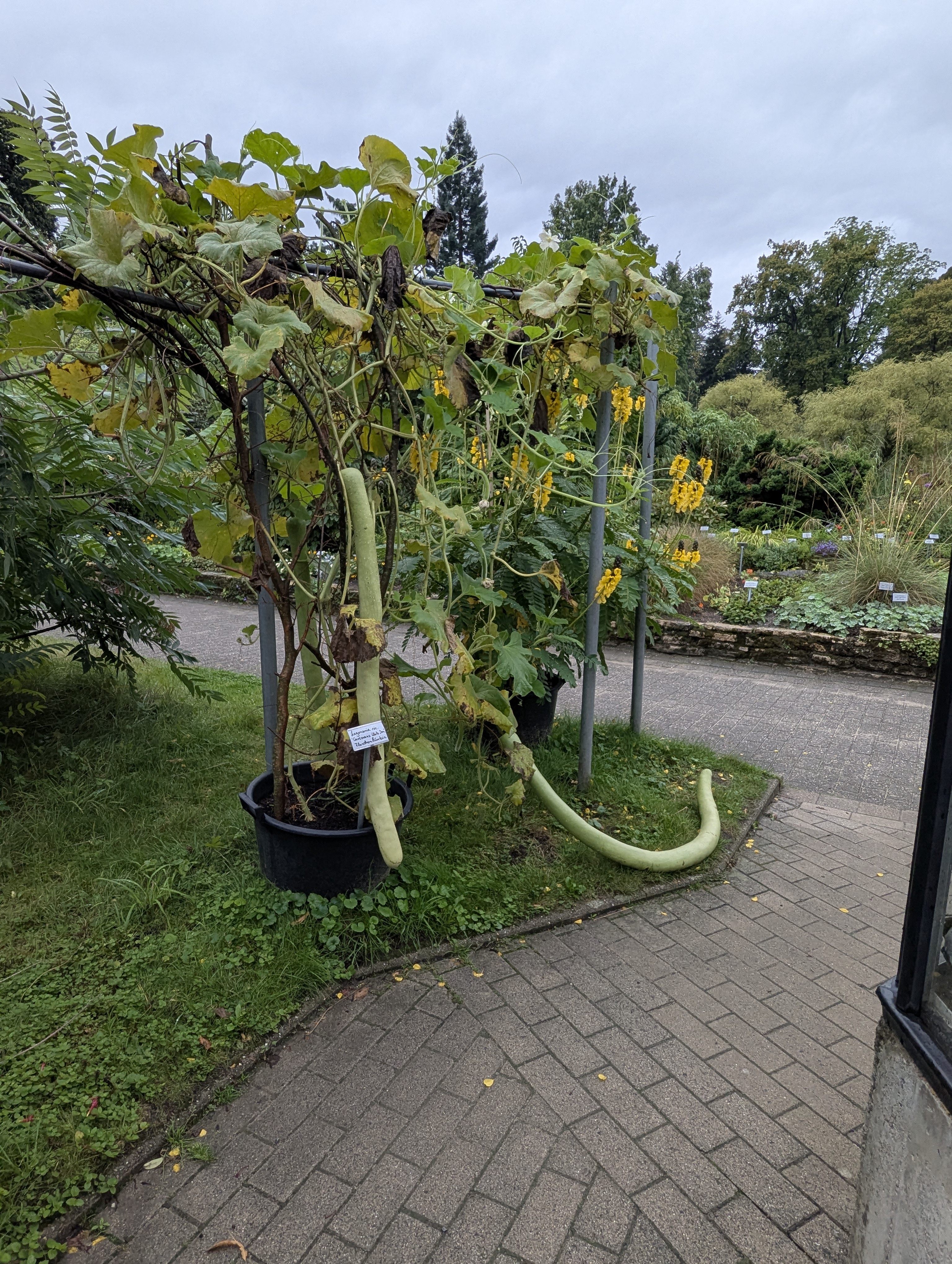 Botonic Gardens, Muenster, Germany